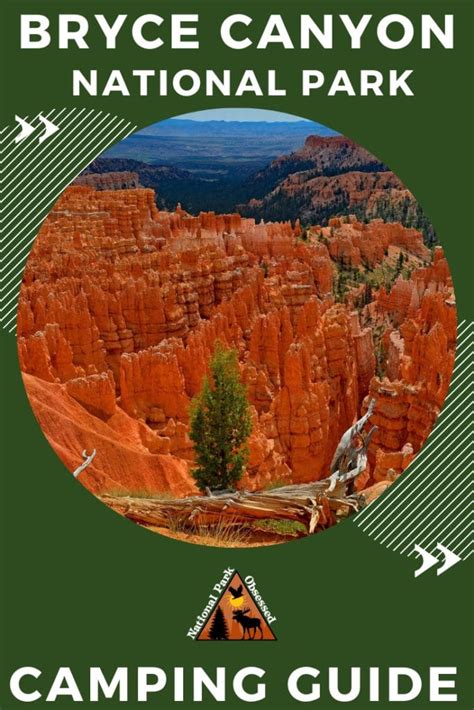 The Ultimate Guide to Camping in Bryce Canyon National Park - National ...