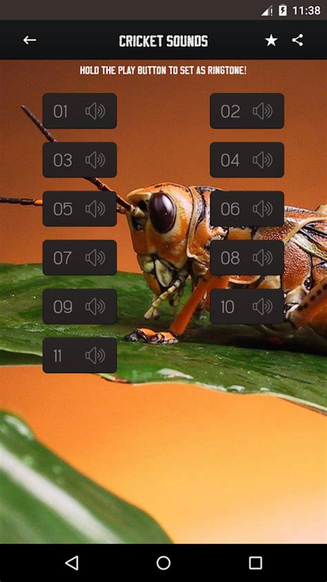 Cricket Sounds - Android Apps on Google Play