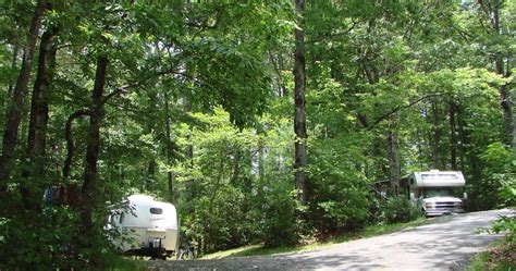 Cabins & Camping - Brevard NC, Dupont Forest, Pisgah Forest, Land of ...