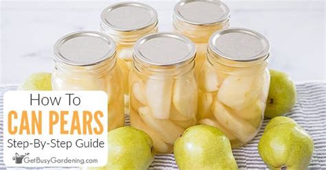 Canning Pears With Or Without A Pressure Canner