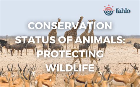 Conservation Status of Animals: Protecting Beloved Wildlife | Fahlo