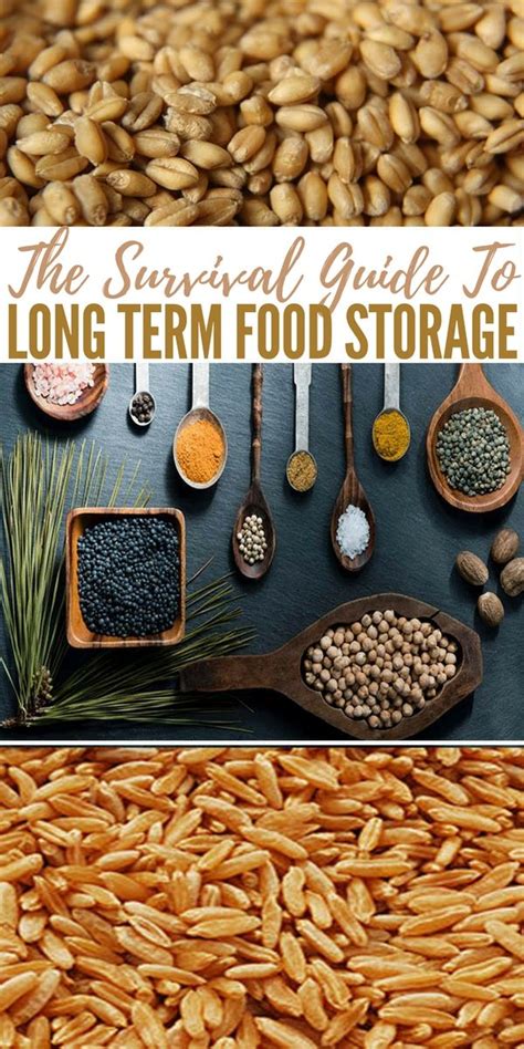 The Survival Guide To Long Term Food Storage | SHTFPreparedness | Long term food storage ...