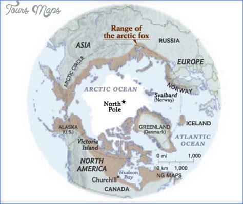 Arctic Fox Range Map - ToursMaps.com