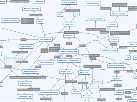 Biology Concept Map Examples