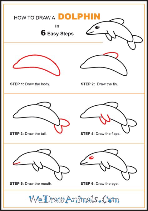 How to Draw a Simple Dolphin for Kids