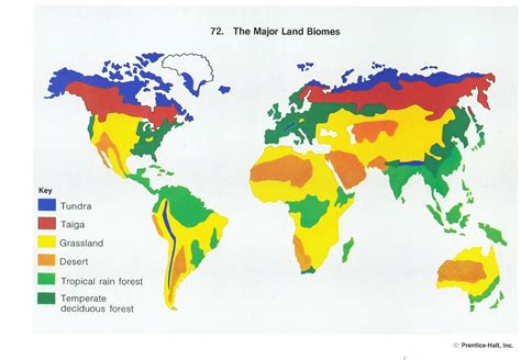 North America Drawing at GetDrawings | Free download