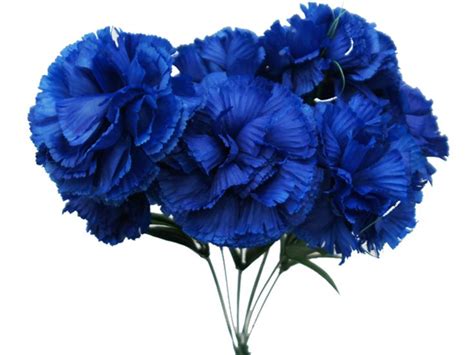 Blue carnations - for bouquet | Centerpieces | Pinterest