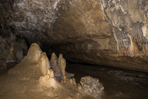 Waipu Caves Glowworms, a Free Alternative to Waitomo - Wandering the World