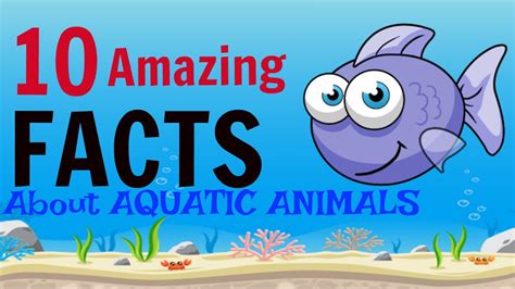 10 Amazing Facts about Aquatic Animals - YouTube