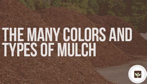 The Many Colors and Types of Mulch - GetMulch.com