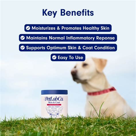 Skin Care Chews - Promotes a Shiny Coat