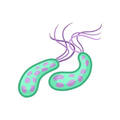 Cholera bacteria stock illustration. Illustration of colour - 11281326