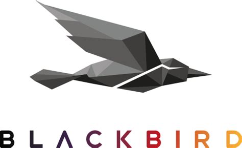 Blackbird es la plataforma de edición y publicación de vídeo en la nube más rápida y potente del ...