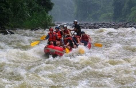 a group of people riding on the back of a raft down a river in white water