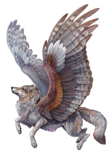 Pterolycus (angel winged) | Fantasy creatures art, Fantasy wolf, Wolf drawing