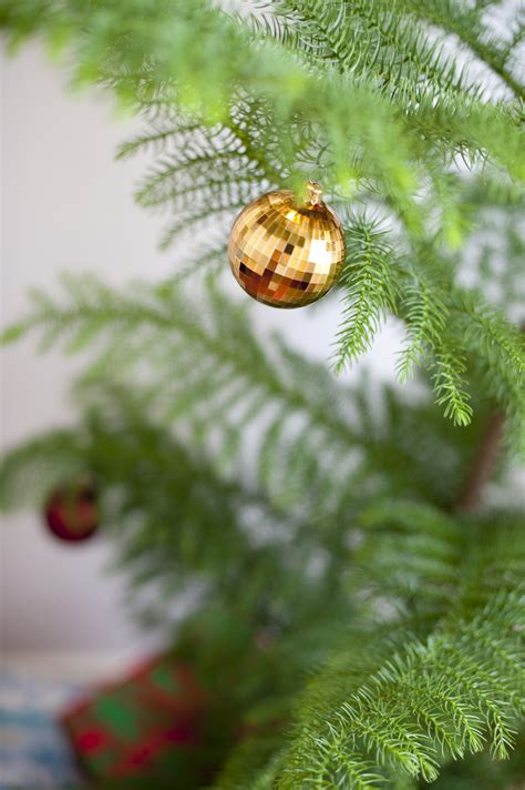 Photo of Single gold bauble on a natural Christmas tree | Free christmas images