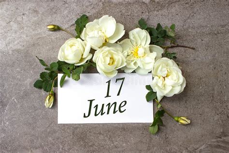 June 17th. Day 17 of Month, Calendar Date. White Roses Border on Pastel Grey Background with ...