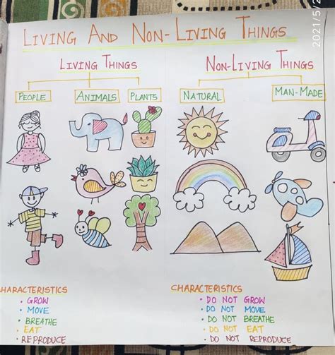 Living and non-living things chart | Kindergarten math worksheets addition, English lessons for ...