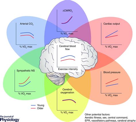 The Factors Used to Describe Cerebral Perfusion Are as Follows