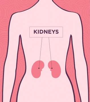 Kidney Pain Location