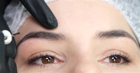 Eyebrow Coloring Procedure in a Beauty Salon, Stock Video - Envato Elements