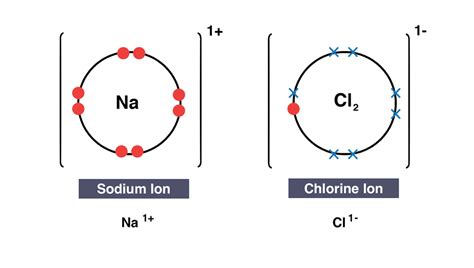 5 ) Ionic Bonding Diagram | Quizlet