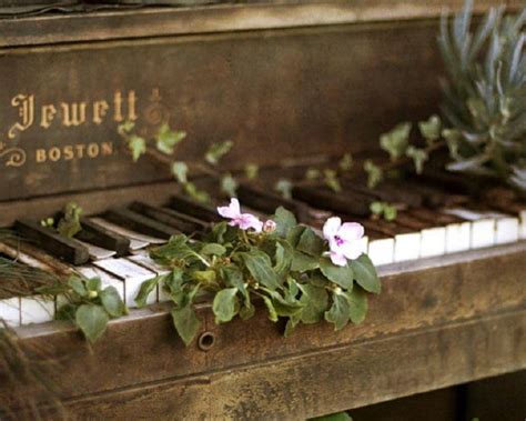 Piano and Flowers Wallpapers - Top Free Piano and Flowers Backgrounds - WallpaperAccess