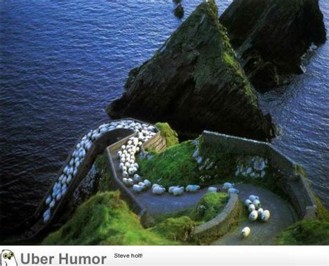 Rush hour in rural Ireland | Funny Pictures, Quotes, Pics, Photos ...