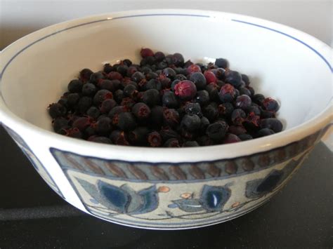 My Canadian Kitchen » Blog Archive » A Handful of Saskatoon Berries