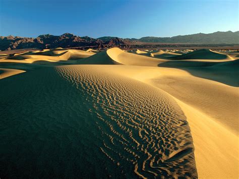 Mesquite Flat Sand Dunes Death Valley Californ picture, Mesquite Flat Sand Dunes Death Valley ...