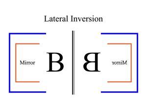 Lateral inversion — lesson. Science CBSE, Class 7.