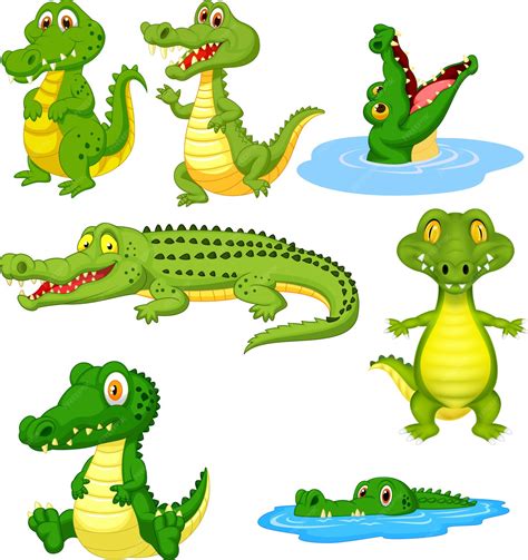 Premium Vector | Cartoon green crocodile collection set