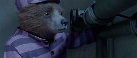 'Paddington 2' Trailer: The Lovable Bear Goes To Jail