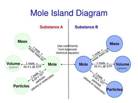 mole island diagram - CathrineAsta