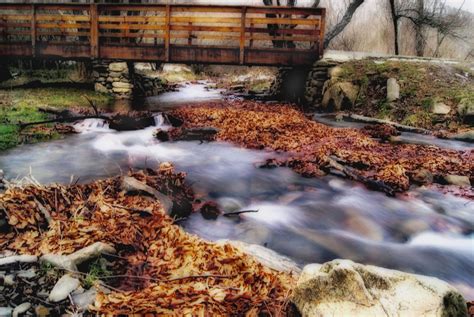 A Mysterious River .... Free Stock Photo - Public Domain Pictures