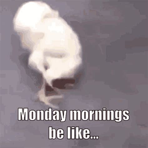 Monday Morning Sleepy Bird Dozing Off Funny Meme GIF | GIFDB.com