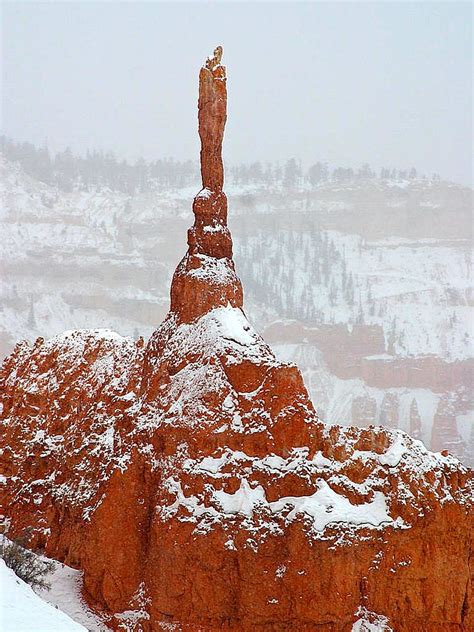 Free picture: rock formation, Bryce canyon, sunset, landscape, outdoor ...