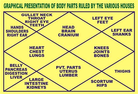Houses In Vedic Astrology Chart
