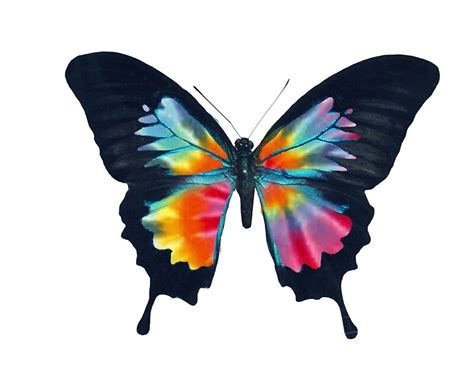 "Tie Dye Butterfly" by Pedro Fart Faced McGee | Redbubble