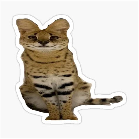 "Sogga . PNG sticker " Sticker for Sale by seller23 | Redbubble