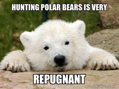 Hunting polar bears is very repugnant - Popular Opinion Bear | Make a Meme