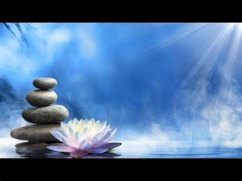 Anapanasati Meditation 20 minutes session by Master Sarita #meditationforbeginners - YouTube