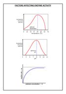 Factors affecting enzyme activity | Teaching Resources