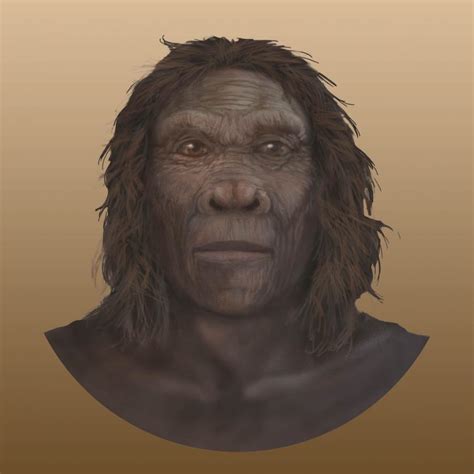 Homo habilis | The Smithsonian Institution's Human Origins Program