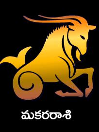 మకర రాశి స్వభావం లక్షణాలు Makara Rasi Character of Capricorn Sign