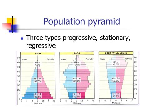 Population Pyramid Types