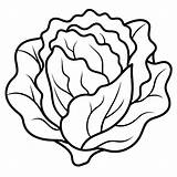 Lettuce vegetable Outline coloring book Page line Art Drawing  Premium sketch template