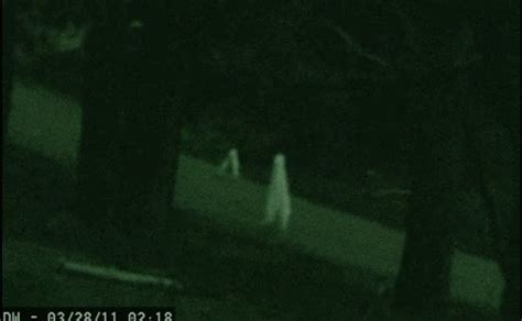 12 Convincing Paranormal Pictures that Will Make You Believe (Vol. I) | Fresno nightcrawler ...