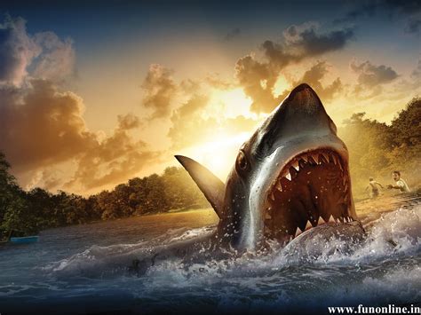 Moving Shark Wallpaper - WallpaperSafari