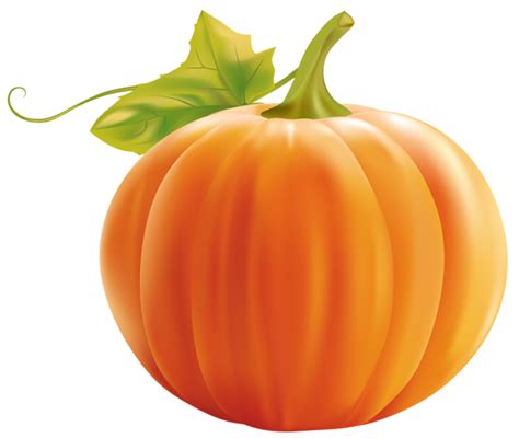 pumpkin clipart free png - Makeda Greenberg